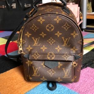 Louis Vuitton Palm Springs Mini backpack NFS